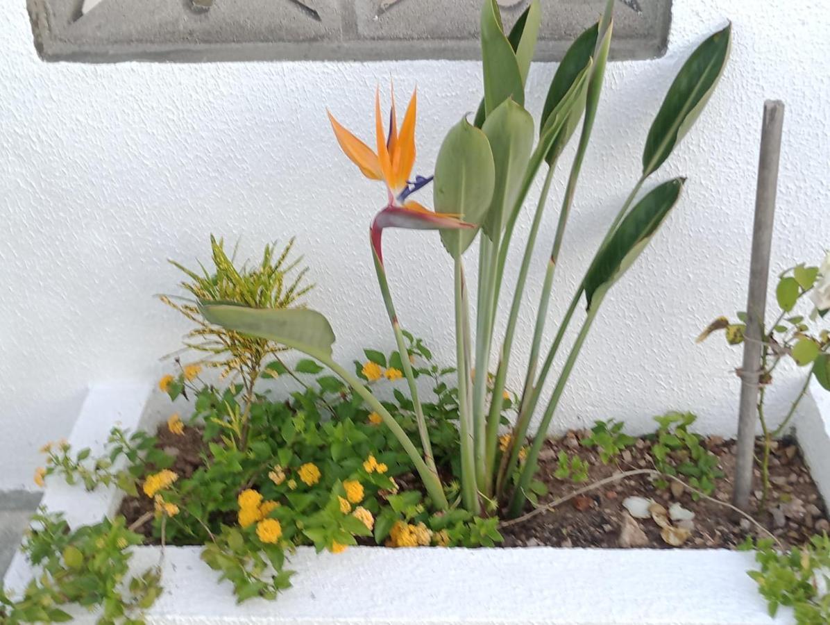 Chales Recanto Das Flores Rn Monte das Gameleiras Exterior foto